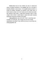 Biznesa plāns 'Biznesa plāns SIA "Celtrex"', 15.