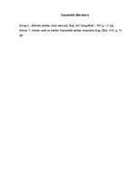 Referāts 'Romas valsts iekārta un tiesības', 15.