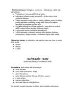 Konspekts 'Vizītkarte', 2.