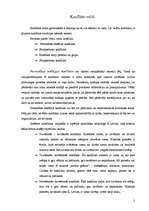 Referāts 'Konflikts grupā - cēloņi un sekas', 5.