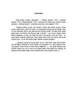 Referāts 'Aleksandra Grīna vēsturiskie romāni', 9.