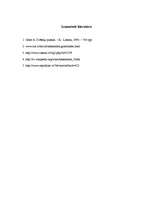 Referāts 'Aleksandra Grīna vēsturiskie romāni', 12.