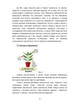 Referāts 'Значение видов воды для жизнедеятельности растений', 14.