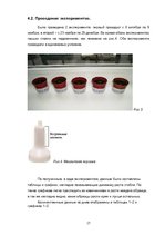 Referāts 'Значение видов воды для жизнедеятельности растений', 17.