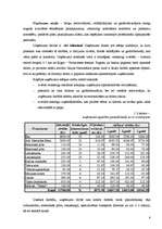 Biznesa plāns 'SIA "Pa ceļam"', 8.