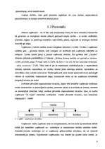 Biznesa plāns 'SIA "Pa ceļam"', 9.