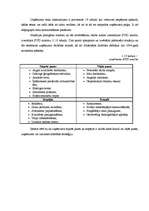 Biznesa plāns 'SIA "Pa ceļam"', 20.