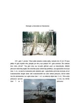 Referāts 'Aizsargājamās teritorijas Baltijas jūras krastā', 18.