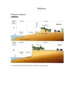 Referāts 'Aizsargājamās teritorijas Baltijas jūras krastā', 25.