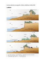 Referāts 'Aizsargājamās teritorijas Baltijas jūras krastā', 27.