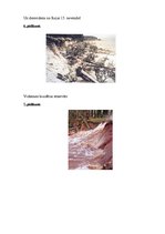 Referāts 'Aizsargājamās teritorijas Baltijas jūras krastā', 29.