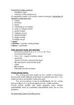 Konspekts 'Tiesību teorija', 3.