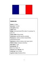 Referāts 'Francija', 3.