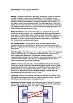 Konspekts 'Datoru tīkli', 1.