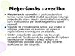 Prezentācija 'Boulbija pieķeršanās teorija', 3.
