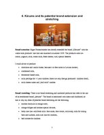 Referāts 'Brand "Kārums" Analysis', 7.