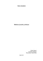 Referāts 'Problēmas mūsdienu jauniešu vidū', 1.