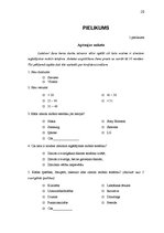 Referāts 'Zīmola nozīme mobilo telefonu tirdzniecībā Latvijā', 20.