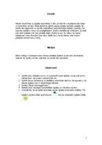 Konspekts 'Semestra darbs latviešu valodā "Manas kļūdas latviešu valodā"', 2.