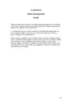 Konspekts 'Semestra darbs latviešu valodā "Manas kļūdas latviešu valodā"', 14.