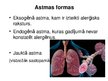 Prezentācija 'Bronhiālā astma', 4.