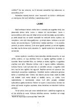 Konspekts 'Kultūra', 3.