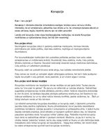 Konspekts 'Korupcija', 1.