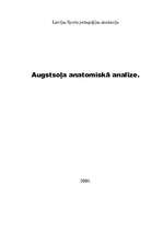 Referāts 'Vieglatlētikas vingrinājuma "Augstsolis" anatomiskā analīze', 1.