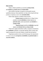 Referāts 'Vieglatlētikas vingrinājuma "Augstsolis" anatomiskā analīze', 3.