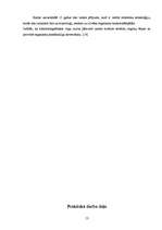 Referāts 'Mobilo telefonu ietekme uz dzīviem organismiem', 13.