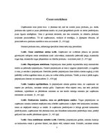 Referāts 'Pakalpojuma cenas veidošanas stratēģija viesu namā', 3.