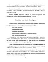 Referāts 'Pakalpojuma cenas veidošanas stratēģija viesu namā', 7.