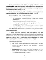 Referāts 'Pakalpojuma cenas veidošanas stratēģija viesu namā', 8.