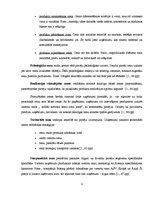 Referāts 'Pakalpojuma cenas veidošanas stratēģija viesu namā', 9.