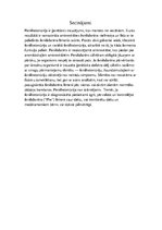 Referāts 'Fenilketonūrija', 6.