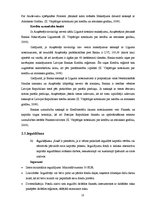 Prakses atskaite 'Prakses pārskats "Nordea Bank AB" Latvijas filiālē', 18.