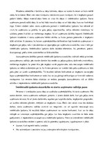 Konspekts 'Starta uzņēmuma vadītāja nepieciešamā rīcība intelektuālā īpašuma aizsardzības j', 3.