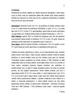 Referāts 'Mans bankas pakalpojumu grozs un tā novērtējums', 9.