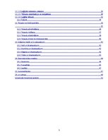 Referāts 'Referāts materiālzinībā', 3.