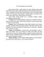 Referāts 'Referāts materiālzinībā', 40.