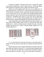 Referāts 'Referāts materiālzinībā', 49.