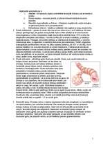 Referāts 'Gāzu maiņas traucējumi un plaušu slimības', 7.