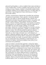 Eseja 'Kamila Pisaro “Monmartras bulvāris ziemas rītā”, 1897 gleznas apraksts', 2.