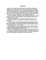 Referāts 'Organizācijas "McDonalds" menedžmenta vispārējā analīze', 7.