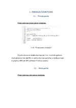 Paraugs 'Mākslīgie neironu tīkli', 3.