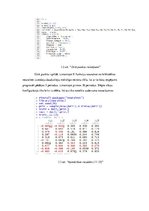 Paraugs 'Mākslīgie neironu tīkli', 4.