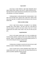 Konspekts 'Nozīmīgākās kultūras vērtības manā izpratnē', 2.