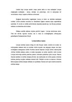 Konspekts 'Nozīmīgākās kultūras vērtības manā izpratnē', 3.