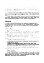 Referāts 'Laulības jēdziens', 2.