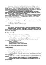 Referāts 'Laulības jēdziens', 3.